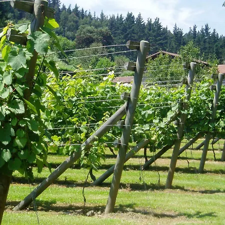 Country house Erdikoetxe *