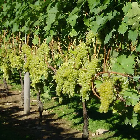 Country house Erdikoetxe