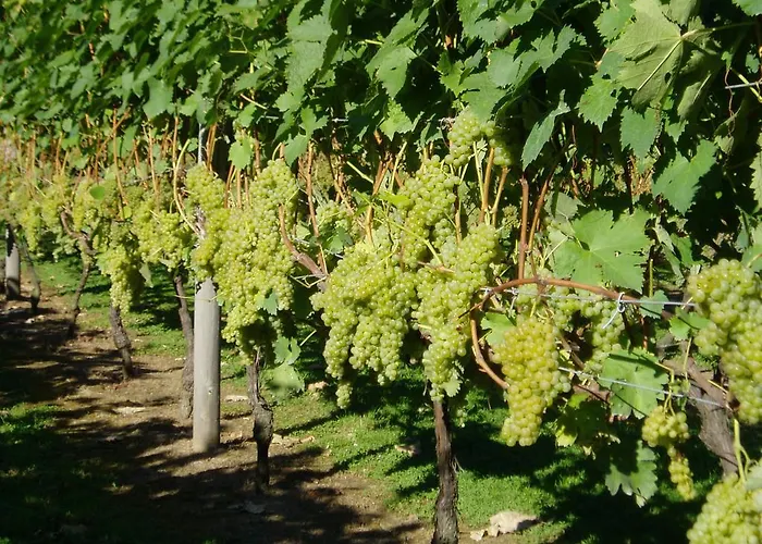 Country house Erdikoetxe